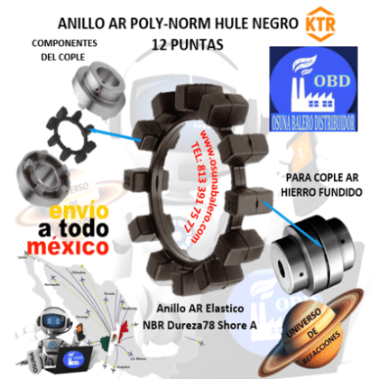 AR-100 NBR ANILLO POLY-NORM KTR DE HULE NEGRO 12 PUNTAS PARA COPLE AR-100
