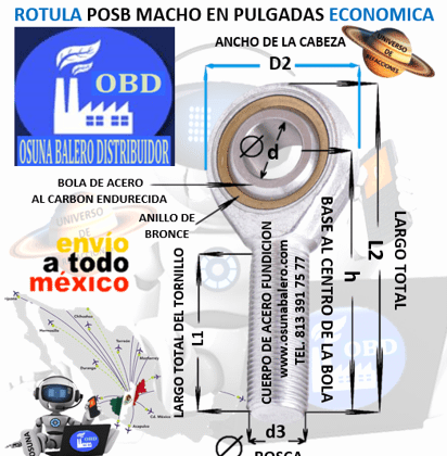 POSB-12 L ROTULA MACHO d=3/4" d3=ROSCA 3/4-16 IZQUIERDA MARCA OBD