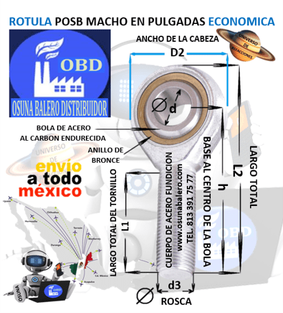 POSB ROTULA MACHO EN PULGADAS ECONOMICA UNIVERSO OSUNA BALERO ACT