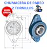 FYTB 1 TF SKF CHUMACERA DE PARED 2 TORNILLOS FLECHA 1”